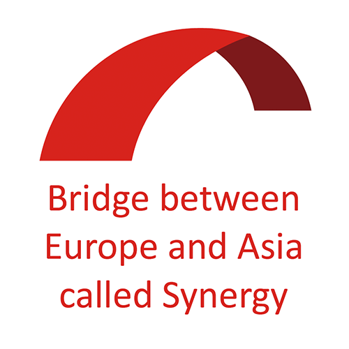 Erasmus+ KA2 Bridge Synergy Projesi